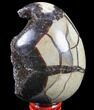 Septarian Dragon Egg Geode - Black Crystals #83210-1